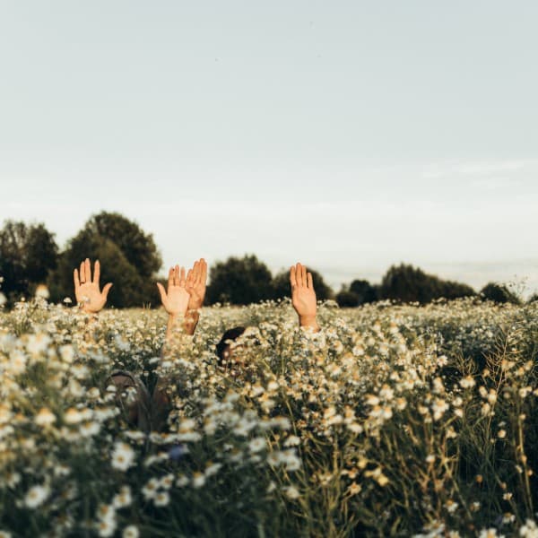 How to use your Recruitment Website to attract the "Lesser Spotted Passive Candidate."