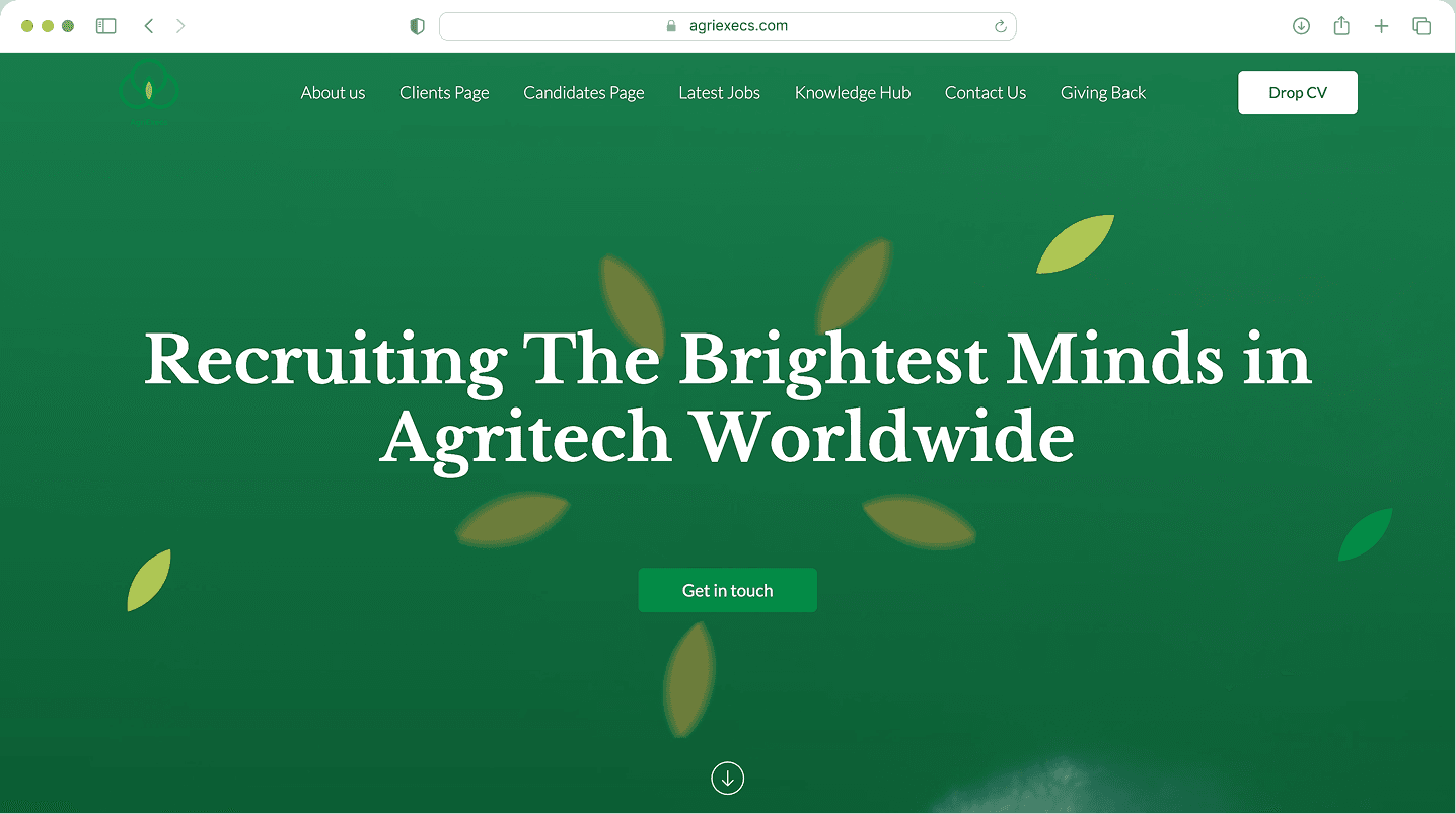 recruitment website design