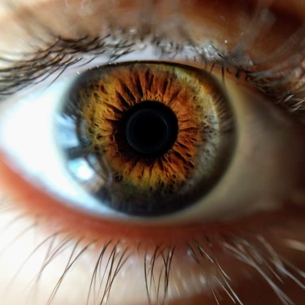 Write your job content for humans and not SEO.