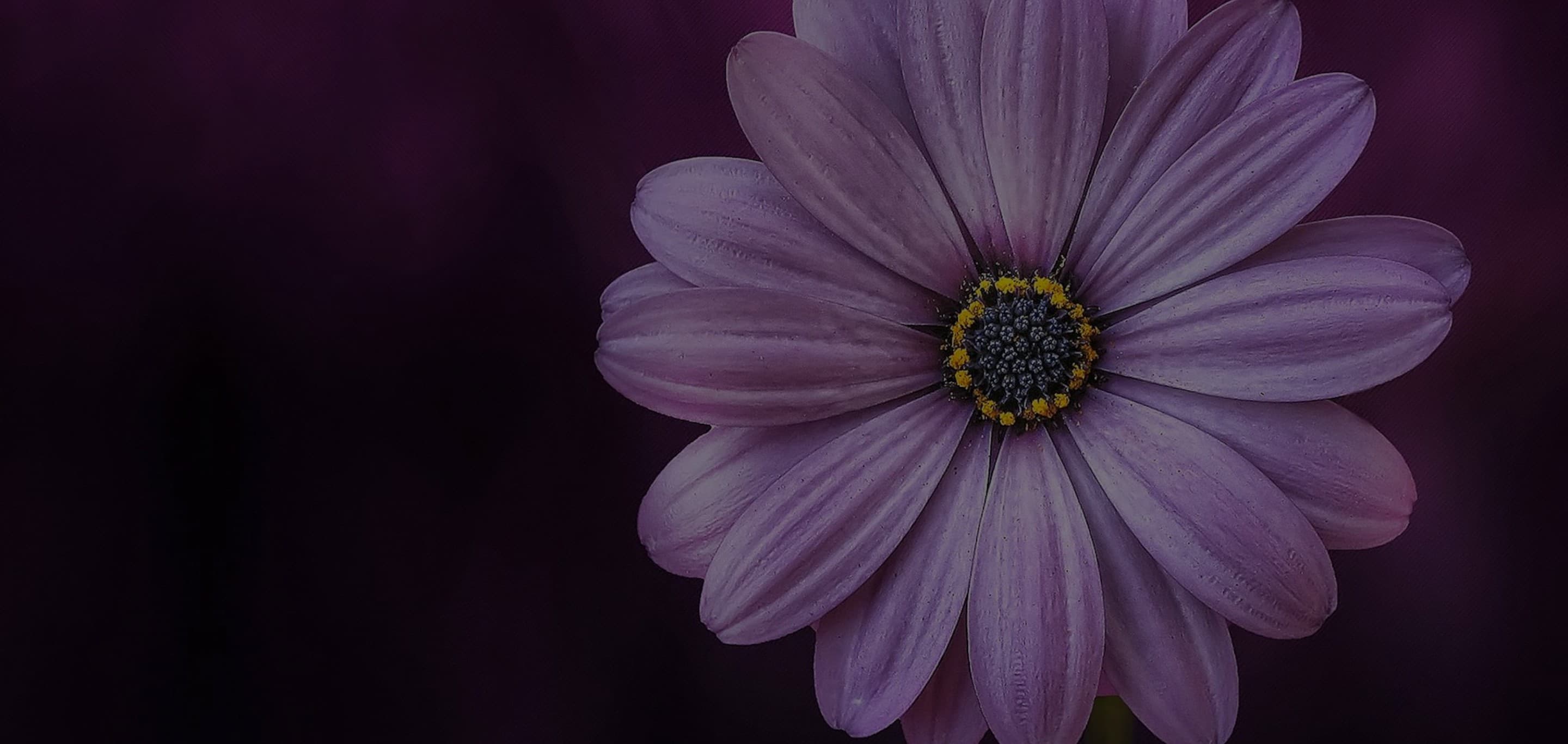 Is a Bespoke Recruitment Agency Website Worth It?